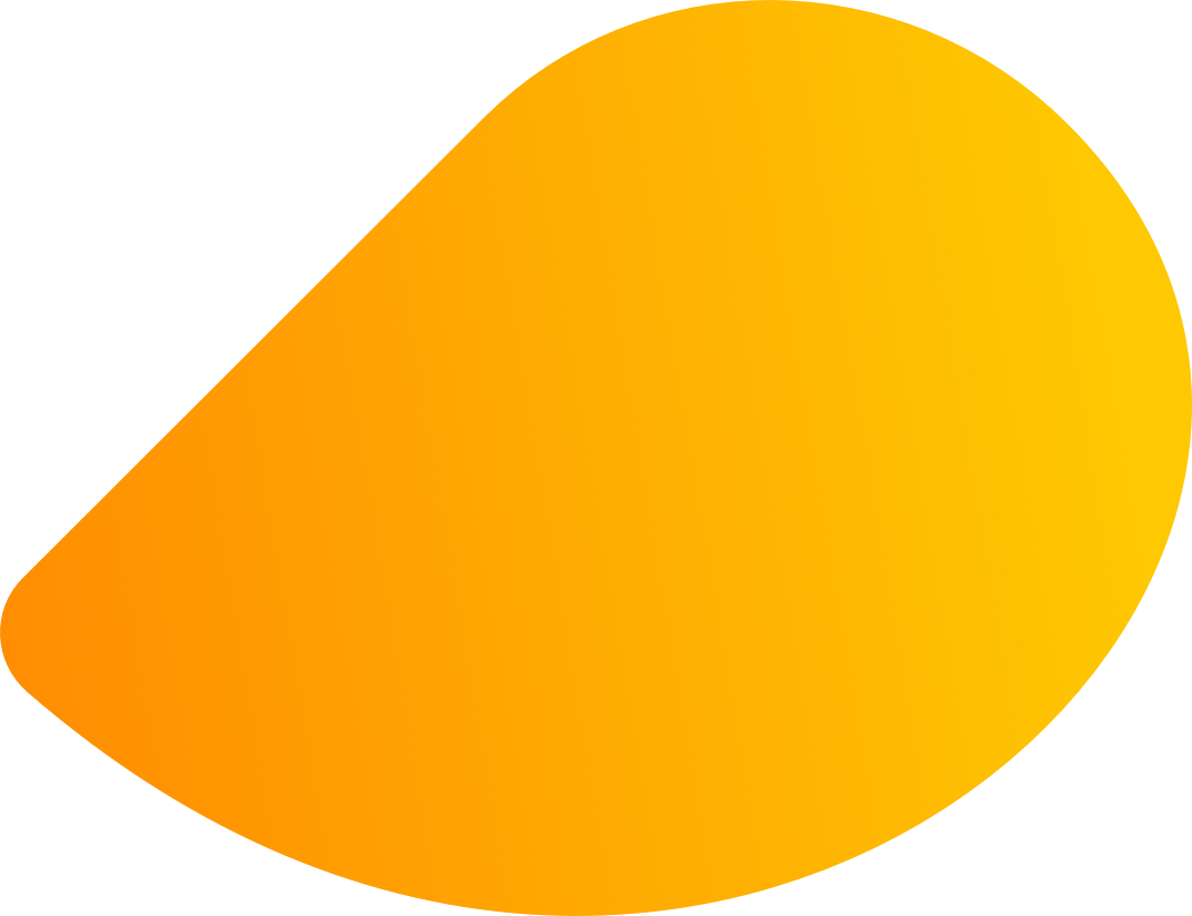 金芒网络 Logo